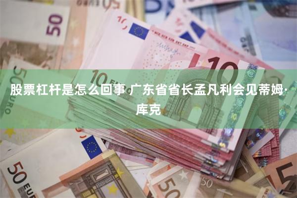 股票杠杆是怎么回事 广东省省长孟凡利会见蒂姆·库克