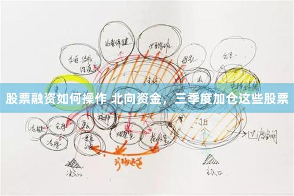 股票融资如何操作 北向资金,三季度加仓这些股票