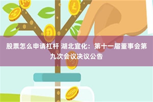 股票怎么申请杠杆 湖北宜化：第十一届董事会第九次会议决议公告